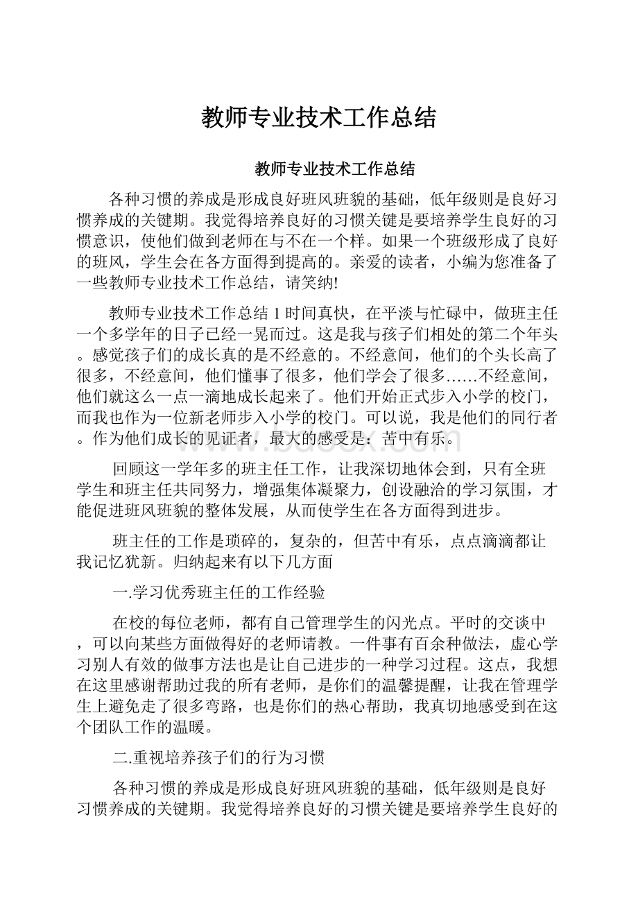 教师专业技术工作总结.docx