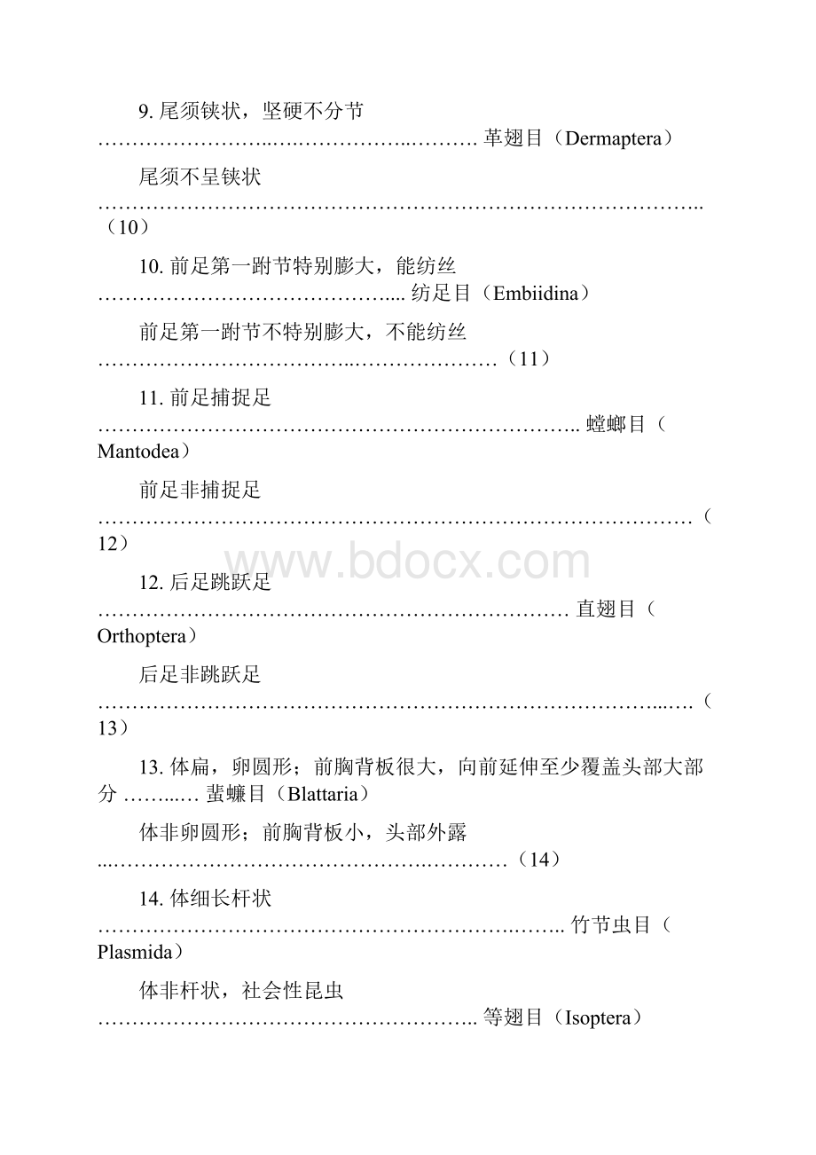 昆虫分类检索表.docx_第3页