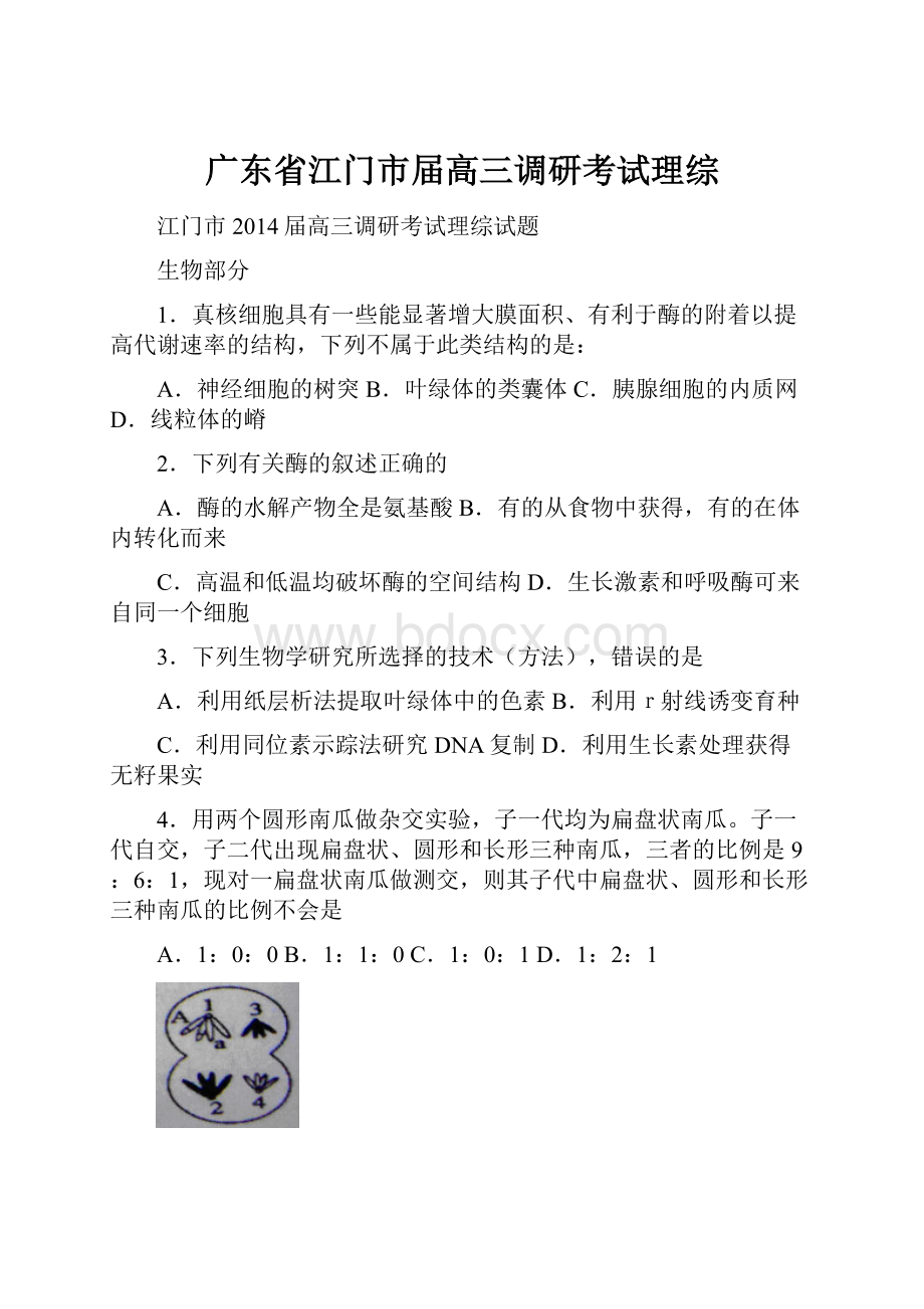 广东省江门市届高三调研考试理综.docx_第1页