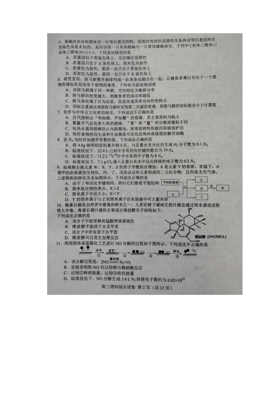 唐山市高三年级第一次 模拟考试理科综试题图片版最新.docx_第2页