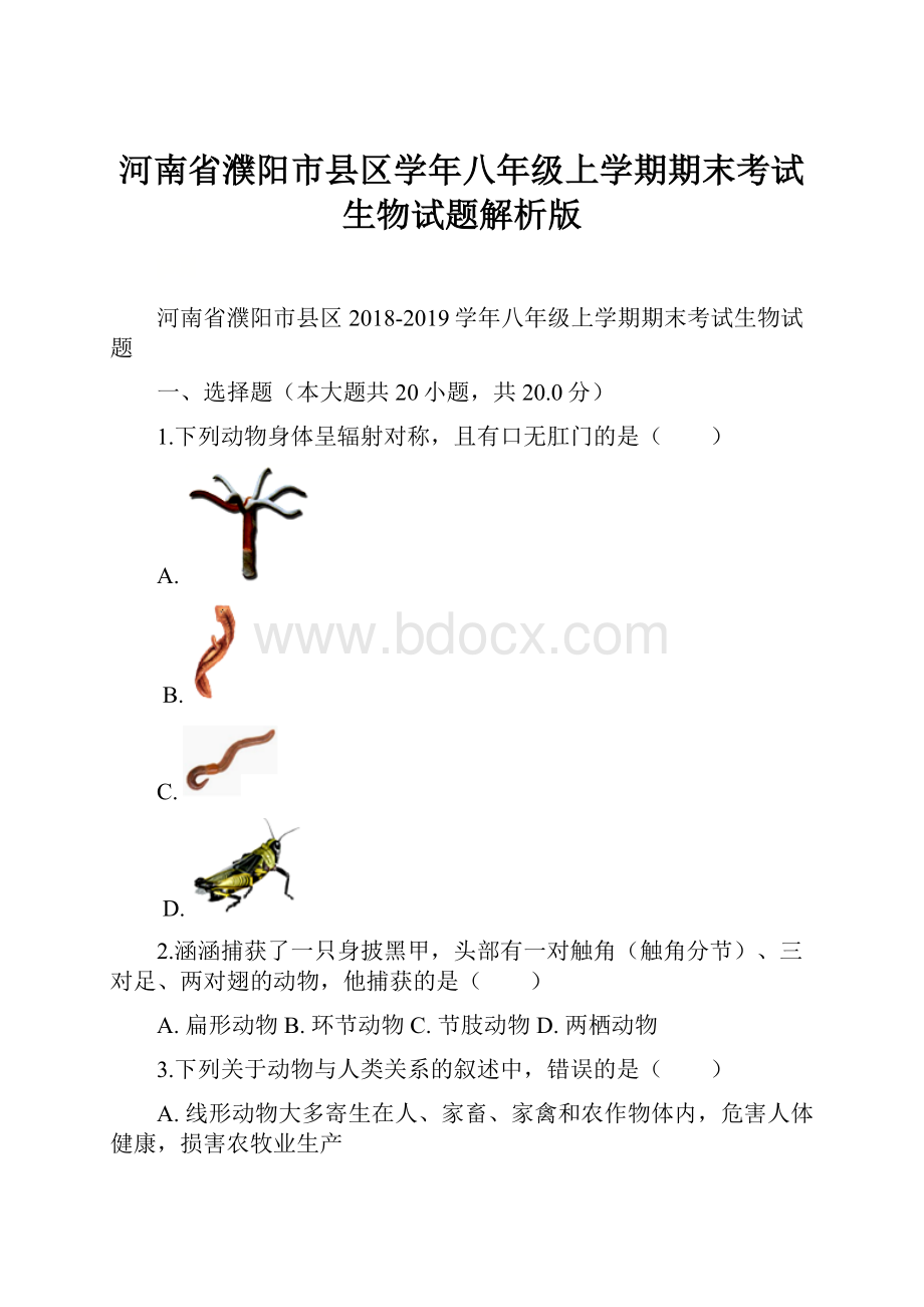 河南省濮阳市县区学年八年级上学期期末考试生物试题解析版.docx