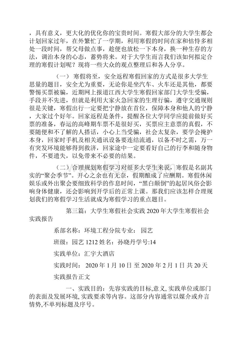 大学生寒假社会实践计划精选多篇.docx_第2页