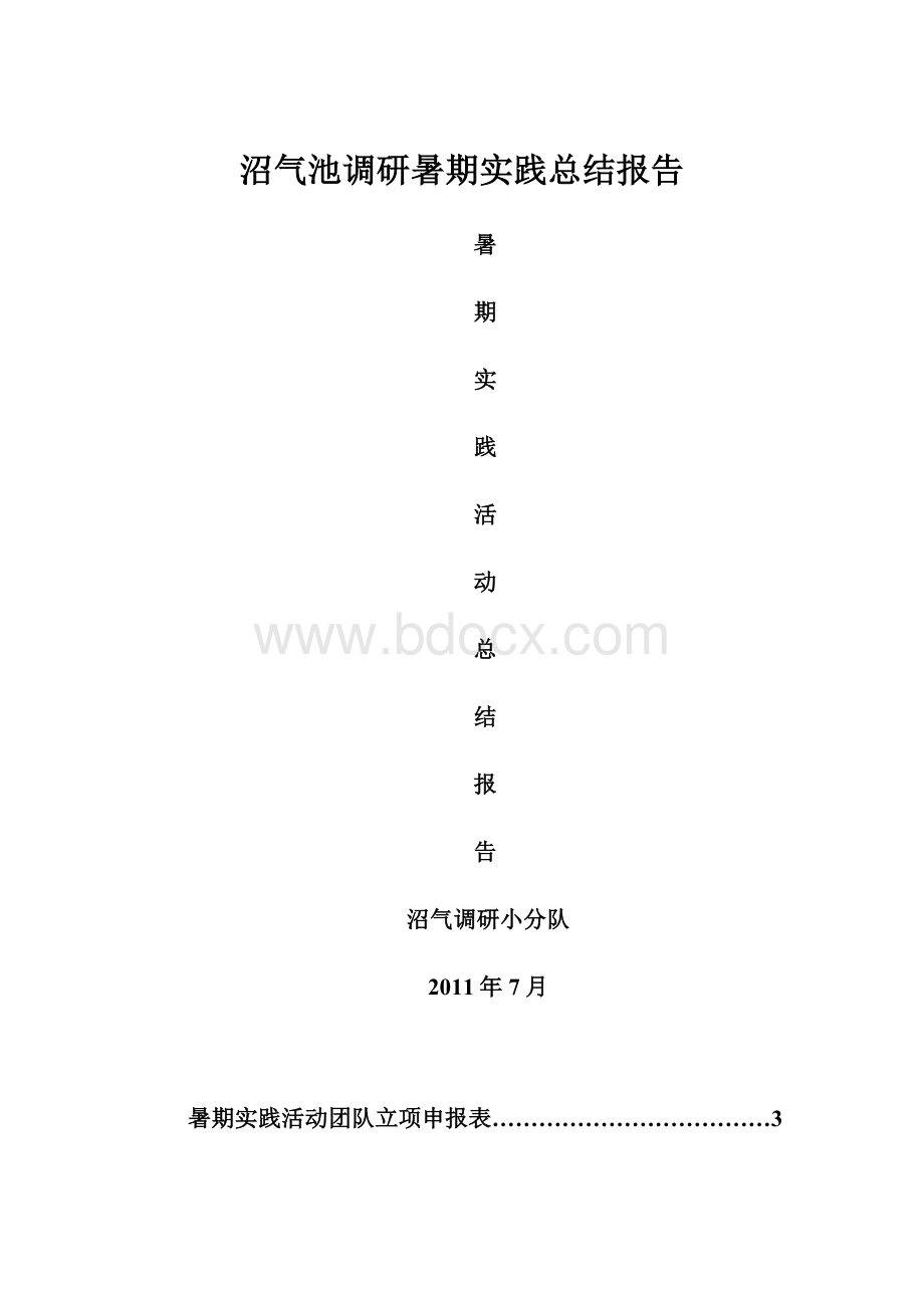 沼气池调研暑期实践总结报告.docx_第1页