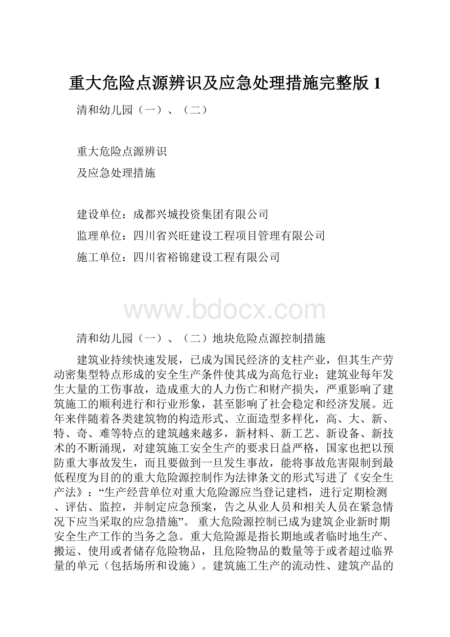 重大危险点源辨识及应急处理措施完整版1.docx