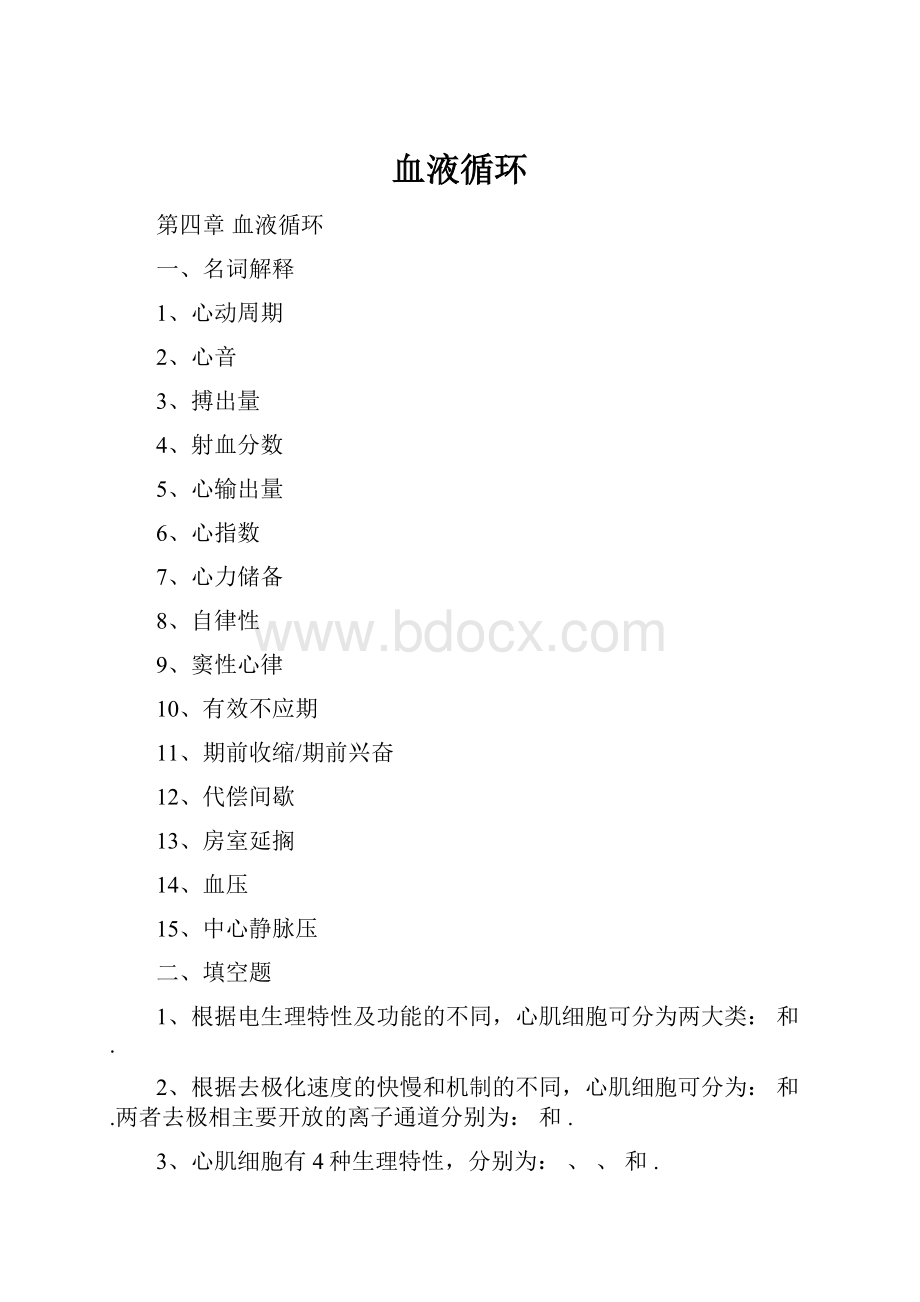 血液循环.docx