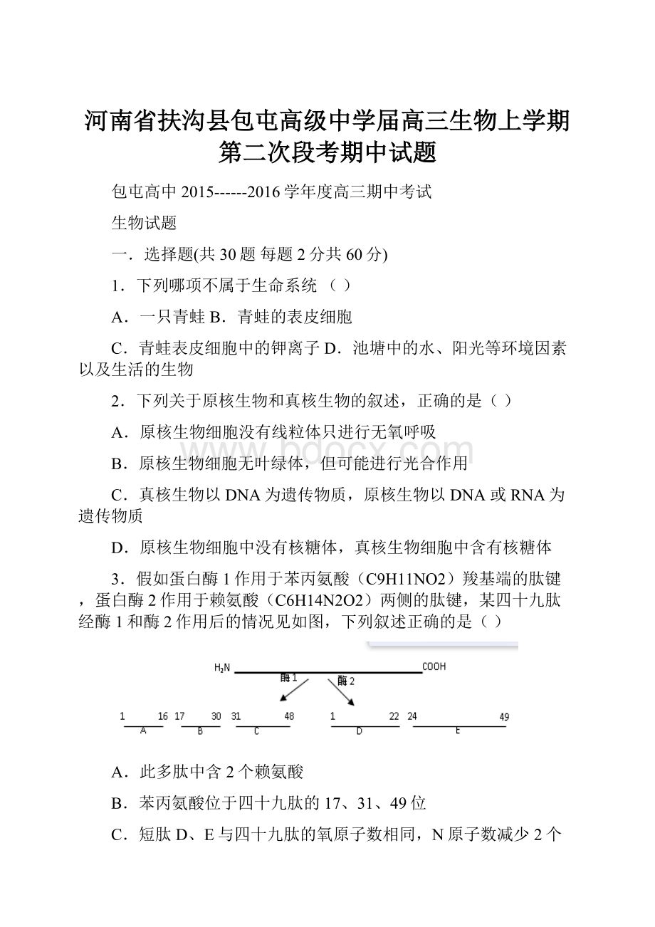 河南省扶沟县包屯高级中学届高三生物上学期第二次段考期中试题.docx