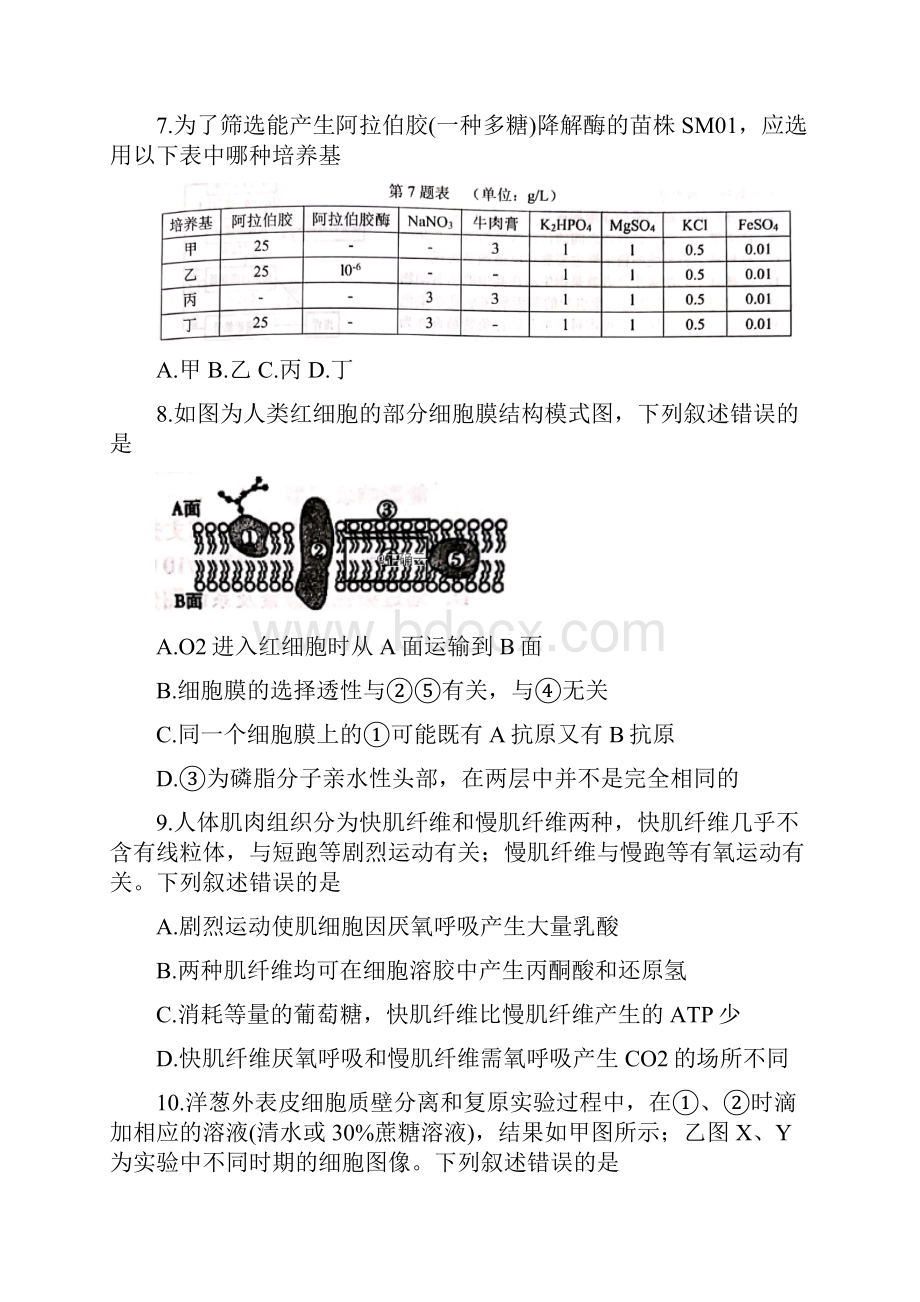 浙江省杭州市届高三生物上学期中试题.docx_第3页