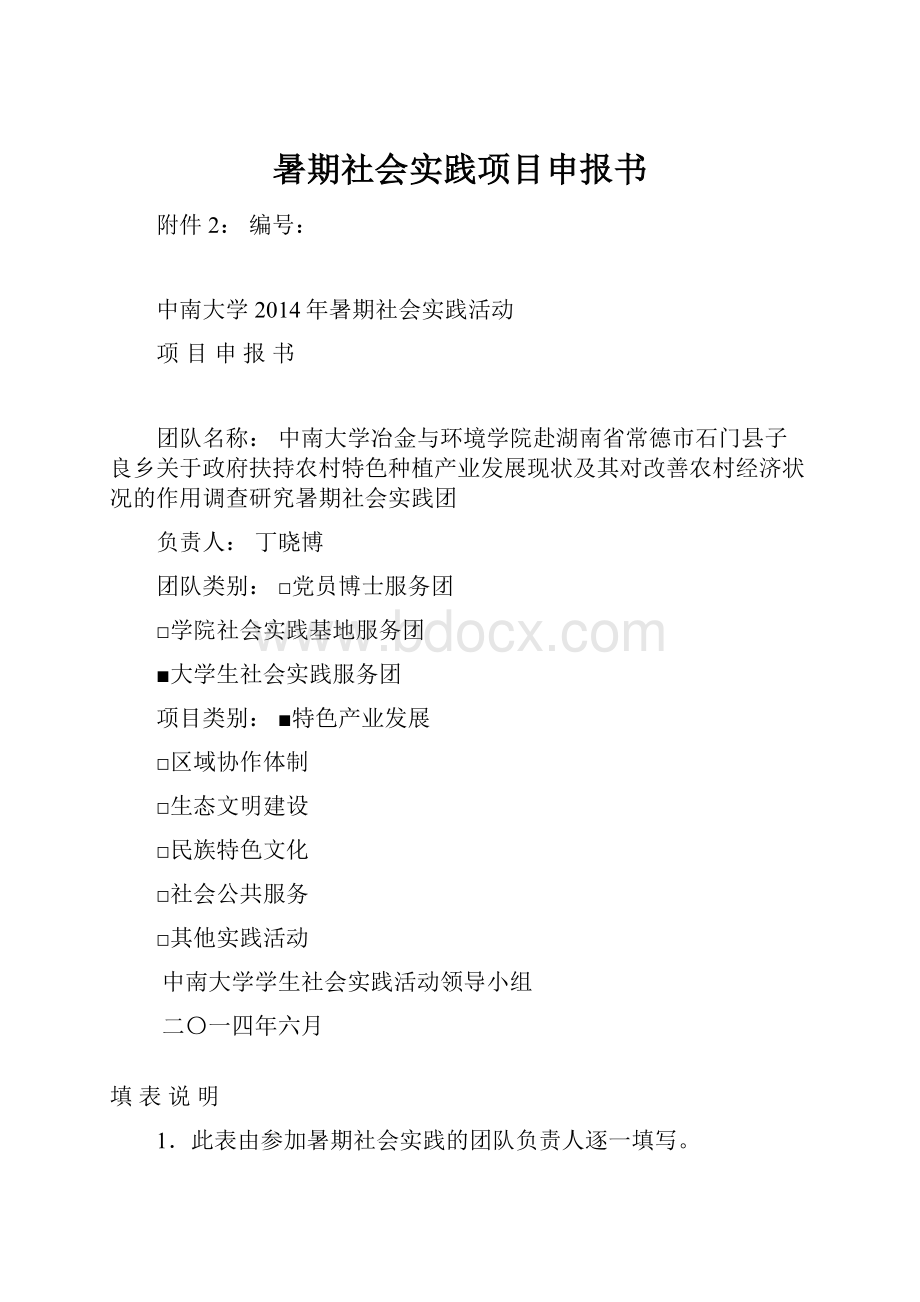 暑期社会实践项目申报书.docx