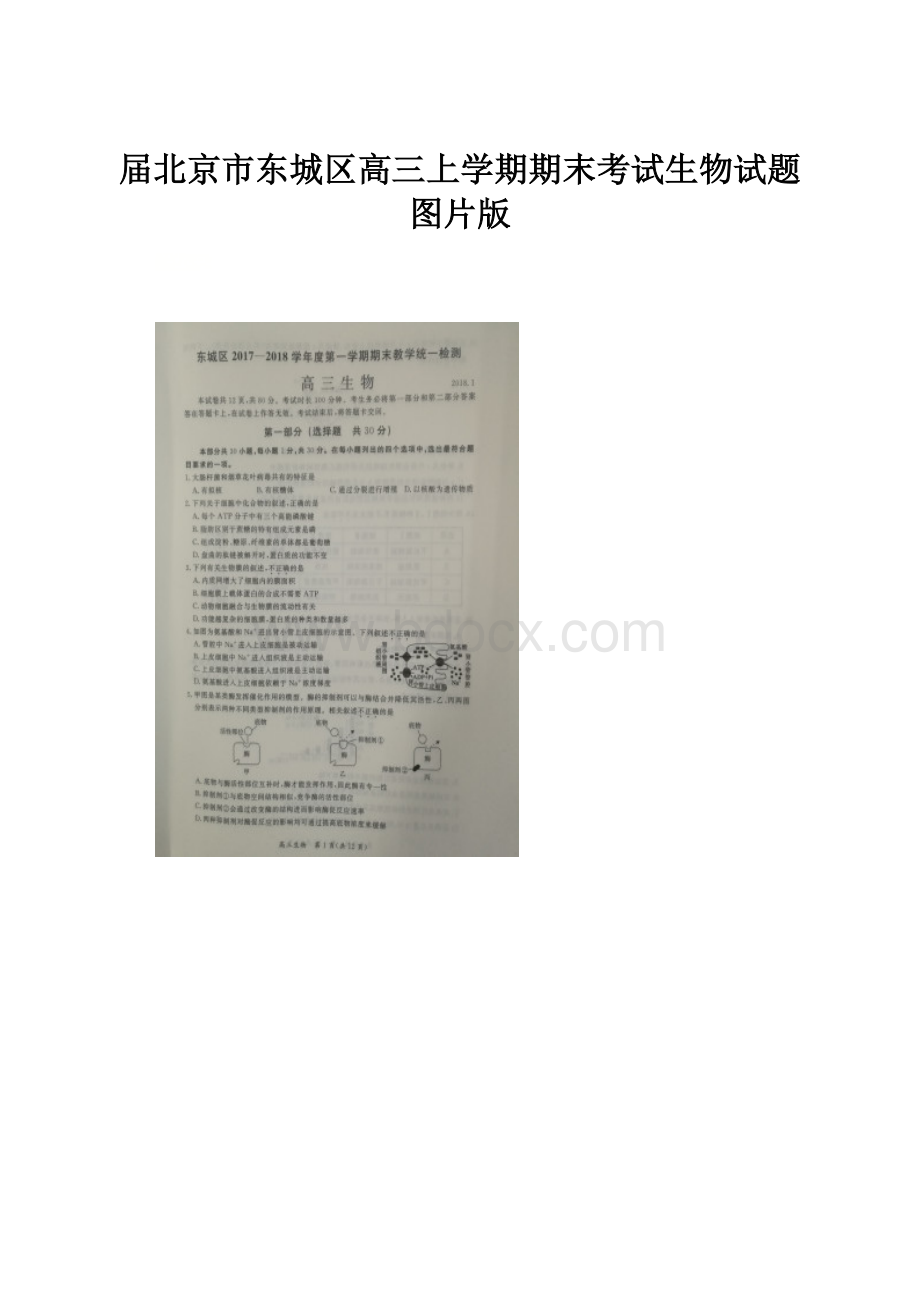 届北京市东城区高三上学期期末考试生物试题图片版.docx