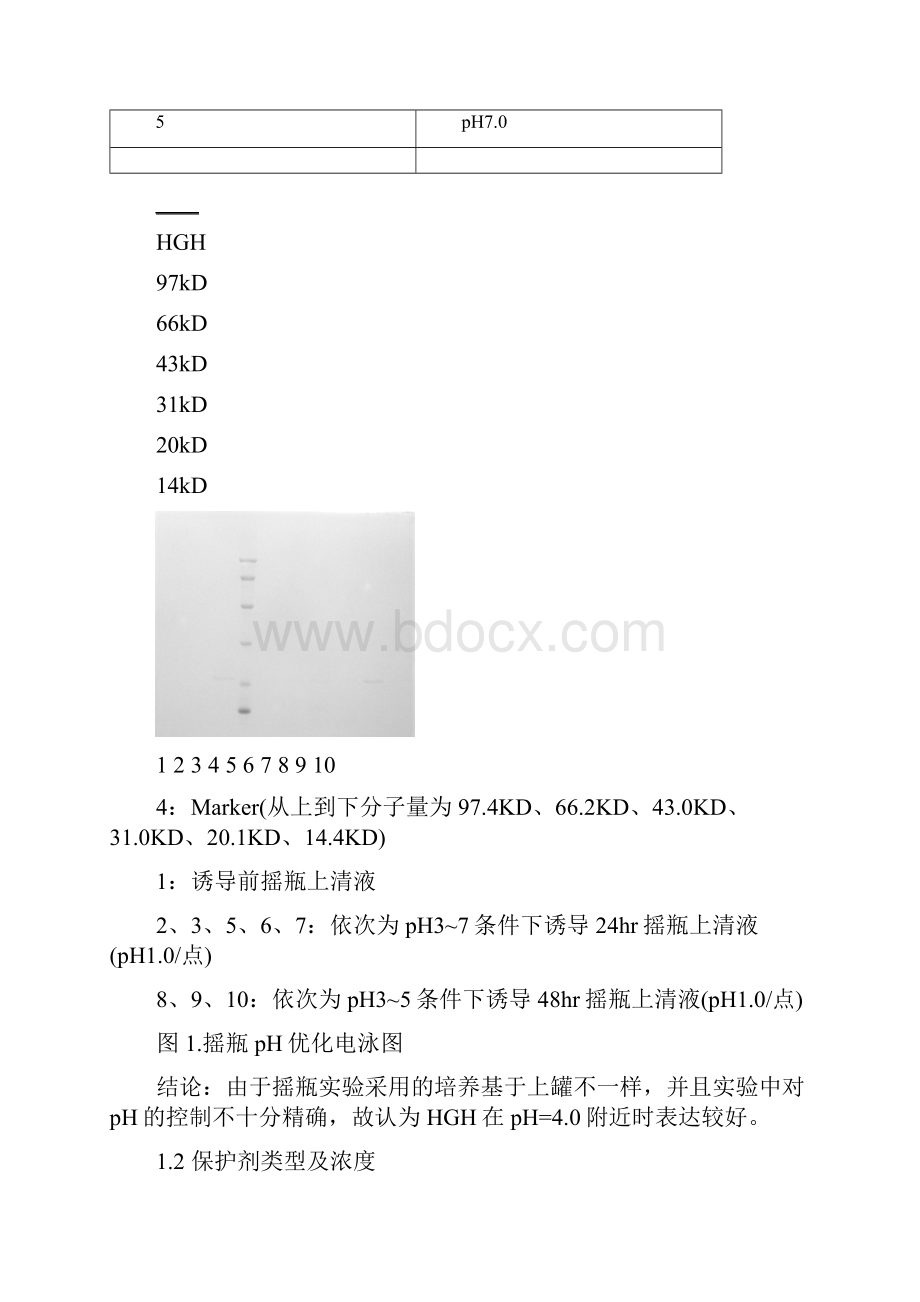 HGH发酵和纯化工艺.docx_第2页