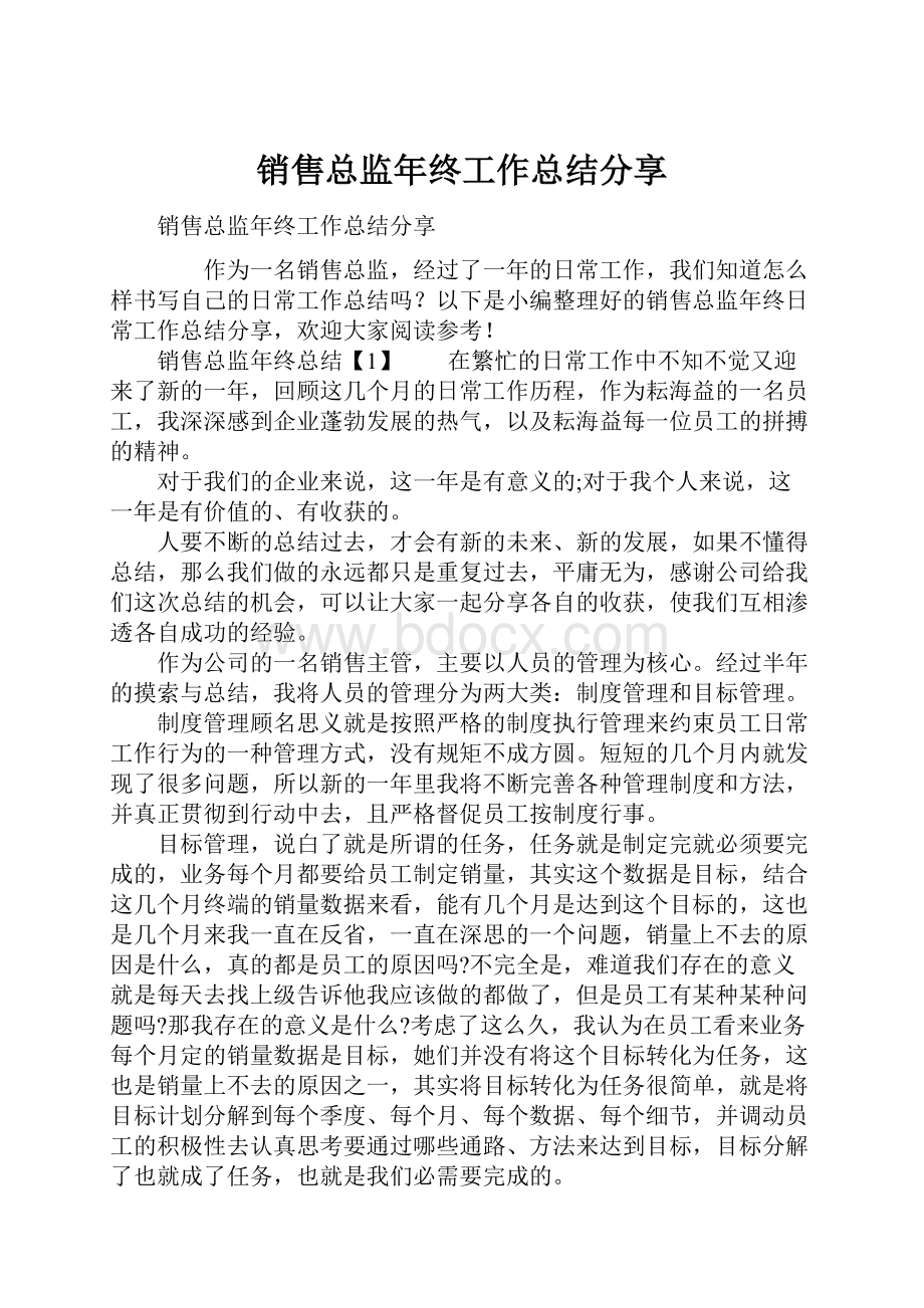 销售总监年终工作总结分享.docx