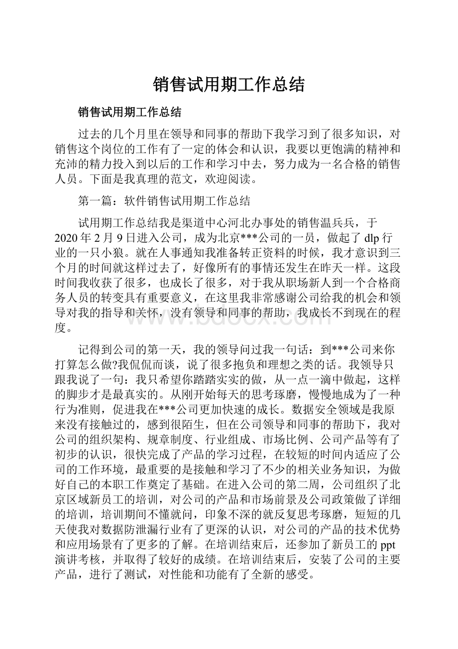 销售试用期工作总结.docx