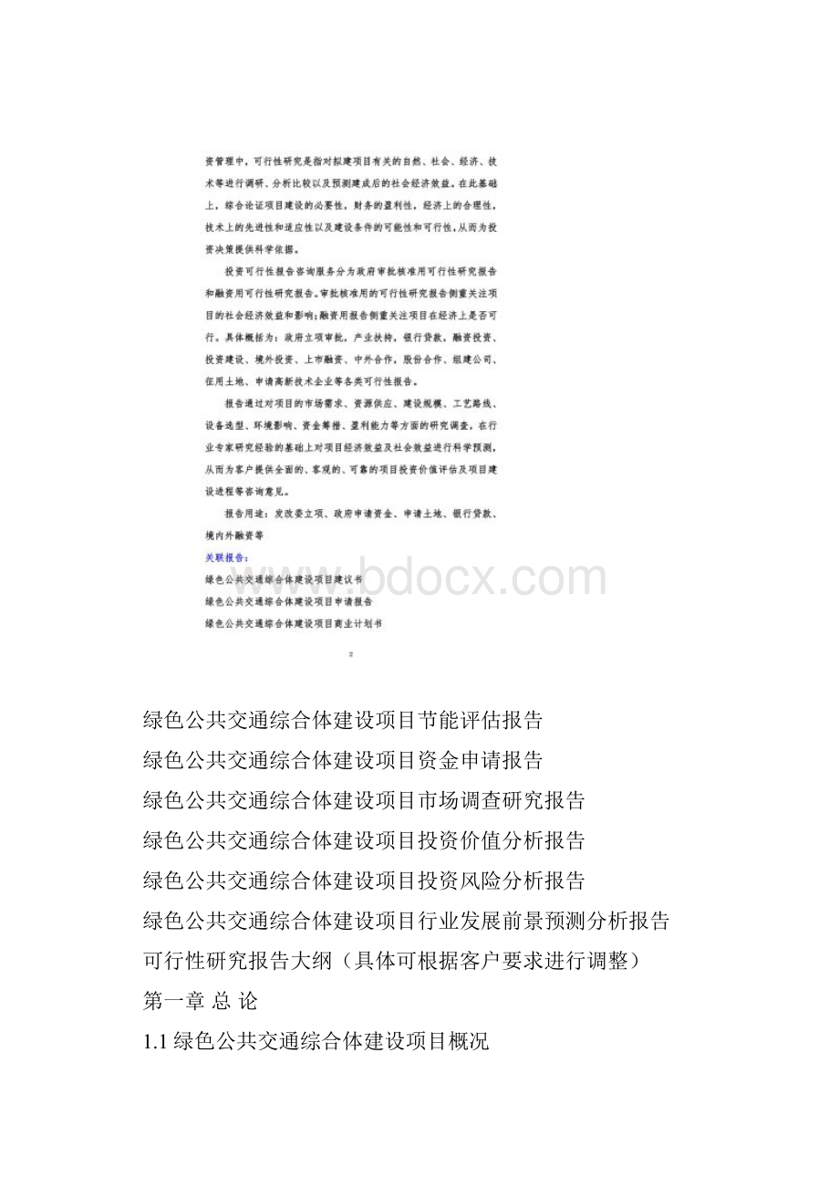 绿色公共交通综合体建设项目可行性研究报告编制大纲.docx_第3页