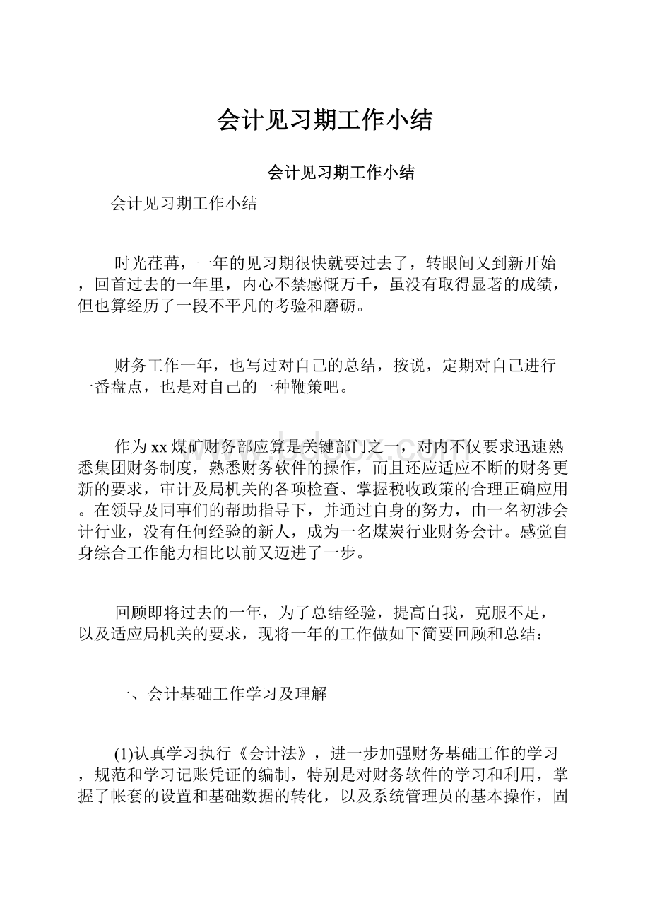 会计见习期工作小结.docx