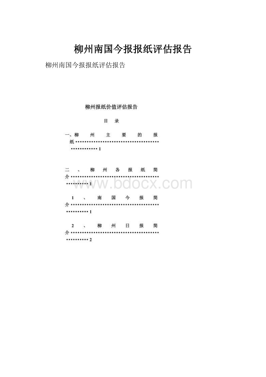 柳州南国今报报纸评估报告.docx