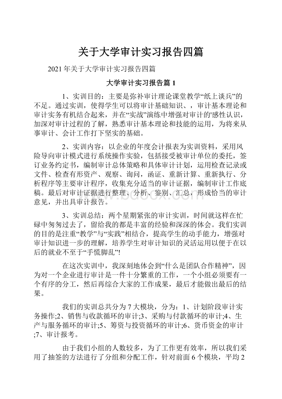 关于大学审计实习报告四篇.docx