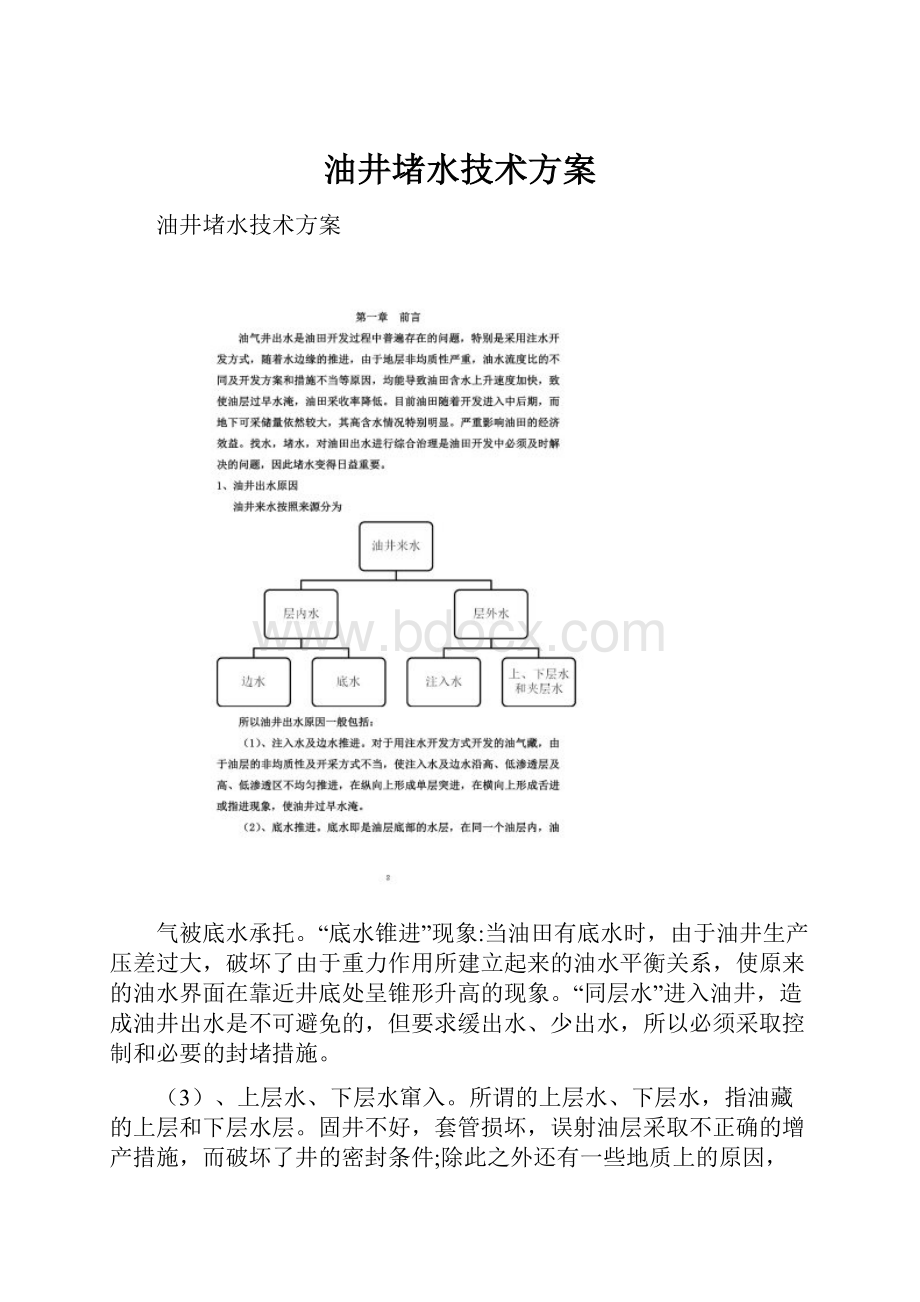 油井堵水技术方案.docx