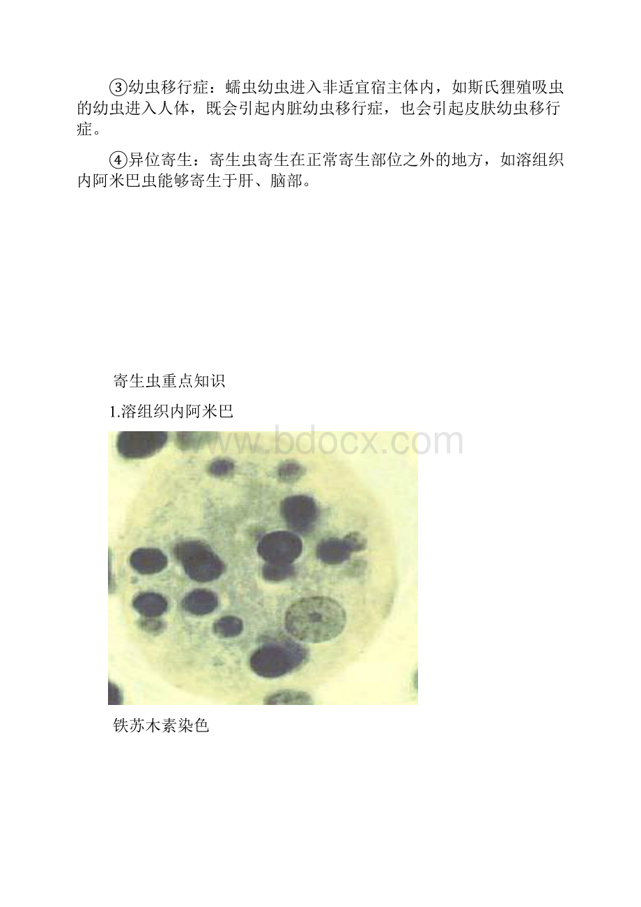 寄生虫重点知识.docx_第2页