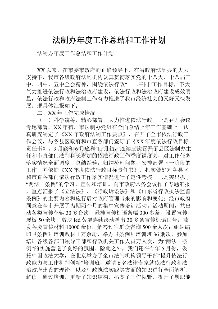 法制办年度工作总结和工作计划.docx_第1页