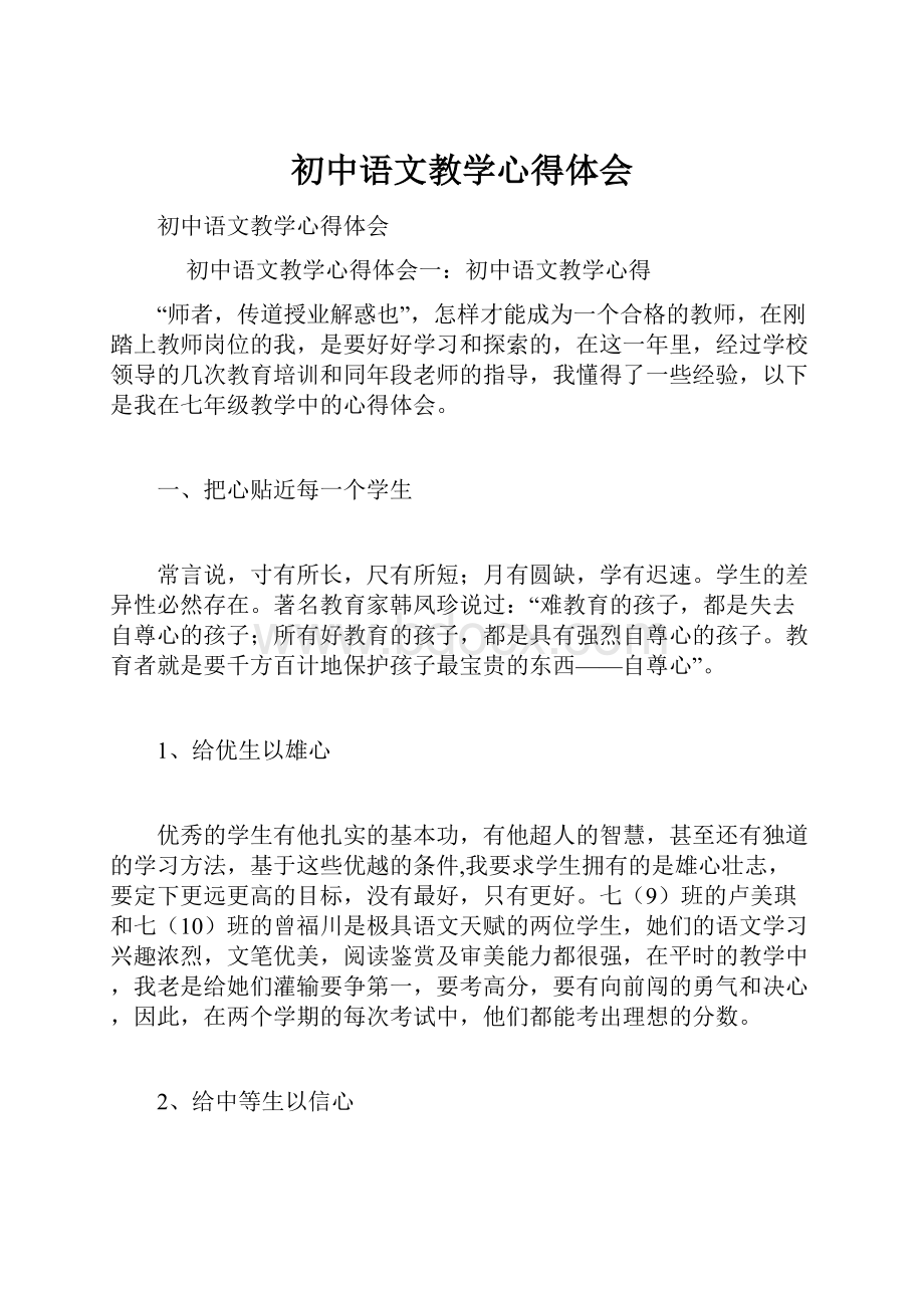 初中语文教学心得体会.docx