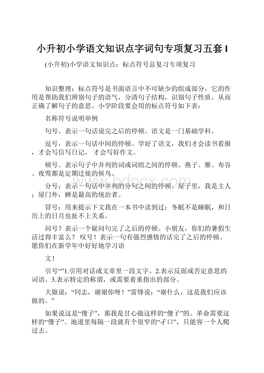 小升初小学语文知识点字词句专项复习五套l.docx