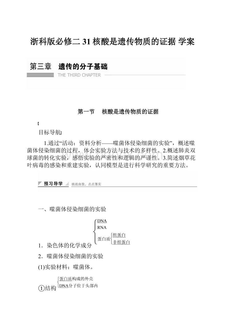 浙科版必修二 31核酸是遗传物质的证据 学案.docx_第1页