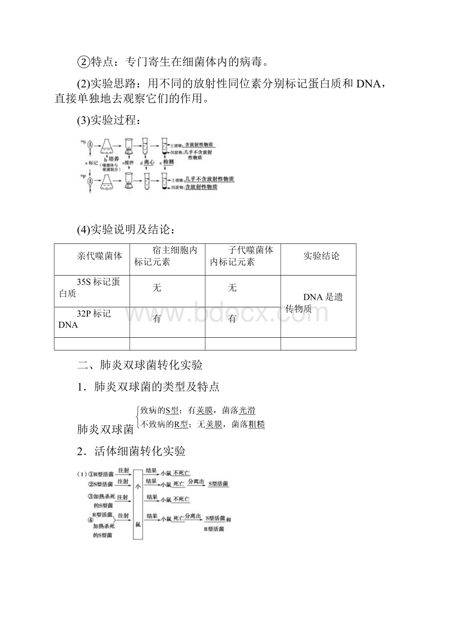 浙科版必修二 31核酸是遗传物质的证据 学案.docx_第2页