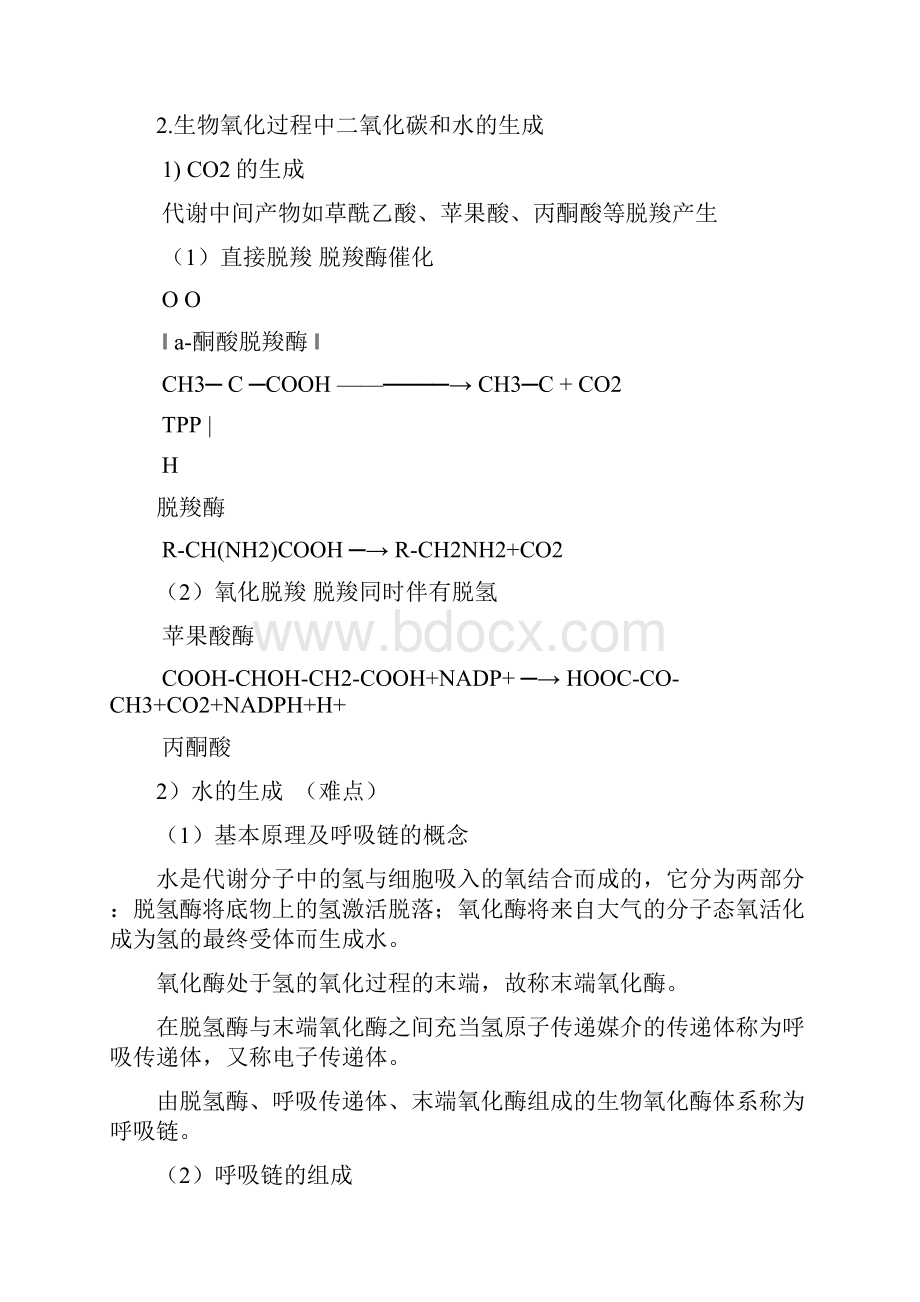 第十章物质代谢总课时10食品生物技术专业12精.docx_第3页