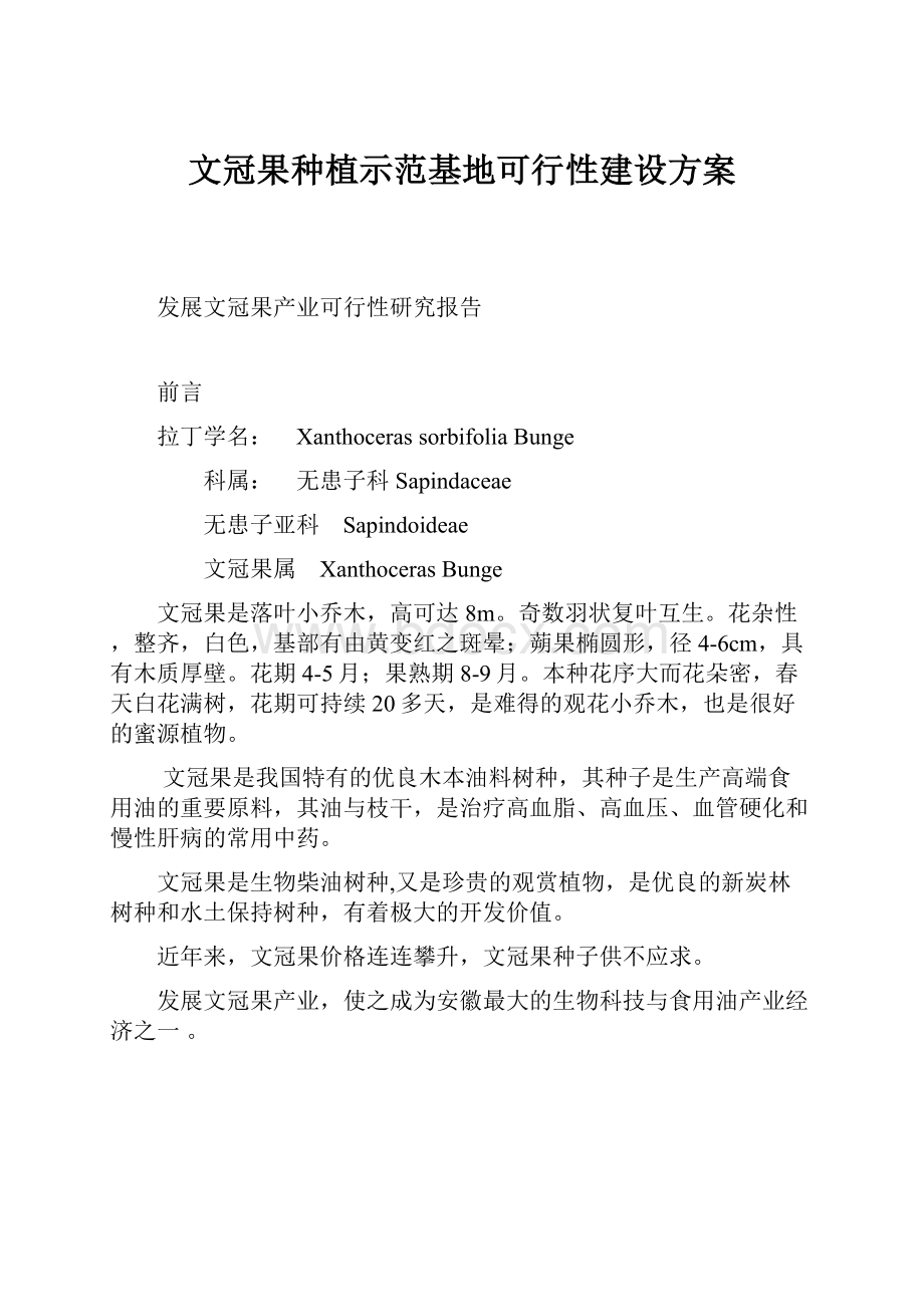 文冠果种植示范基地可行性建设方案.docx