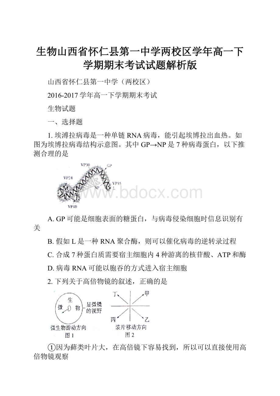 生物山西省怀仁县第一中学两校区学年高一下学期期末考试试题解析版.docx