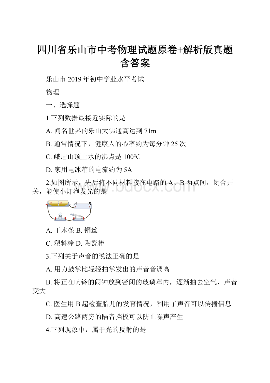 四川省乐山市中考物理试题原卷+解析版真题含答案.docx