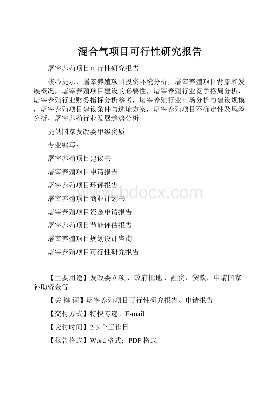 混合气项目可行性研究报告.docx