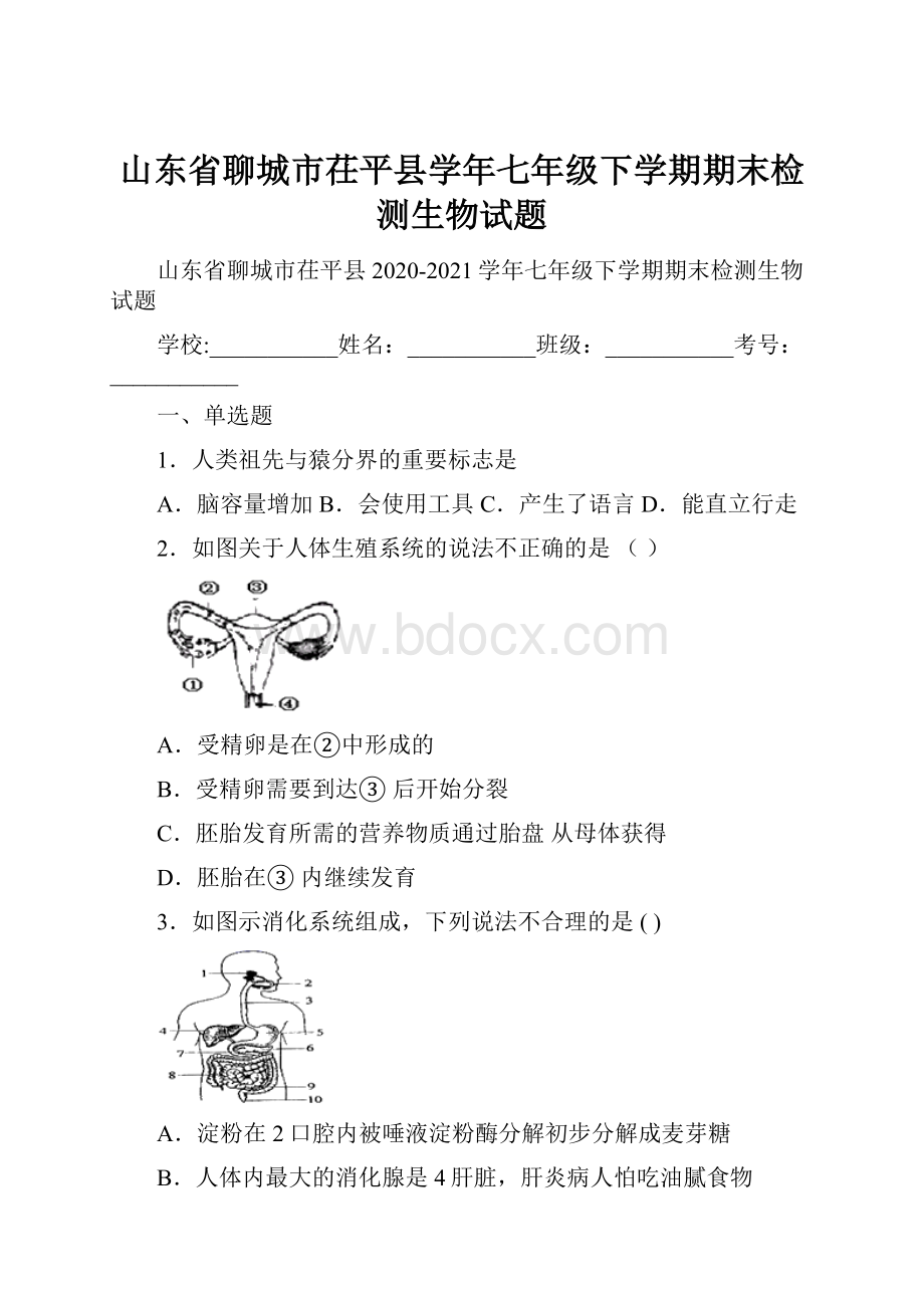 山东省聊城市茌平县学年七年级下学期期末检测生物试题.docx