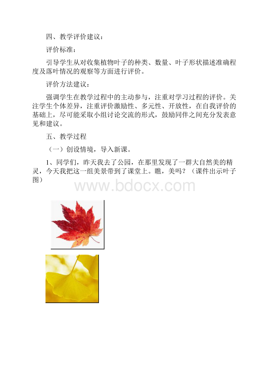 综合实践教案 多彩的叶子.docx_第3页