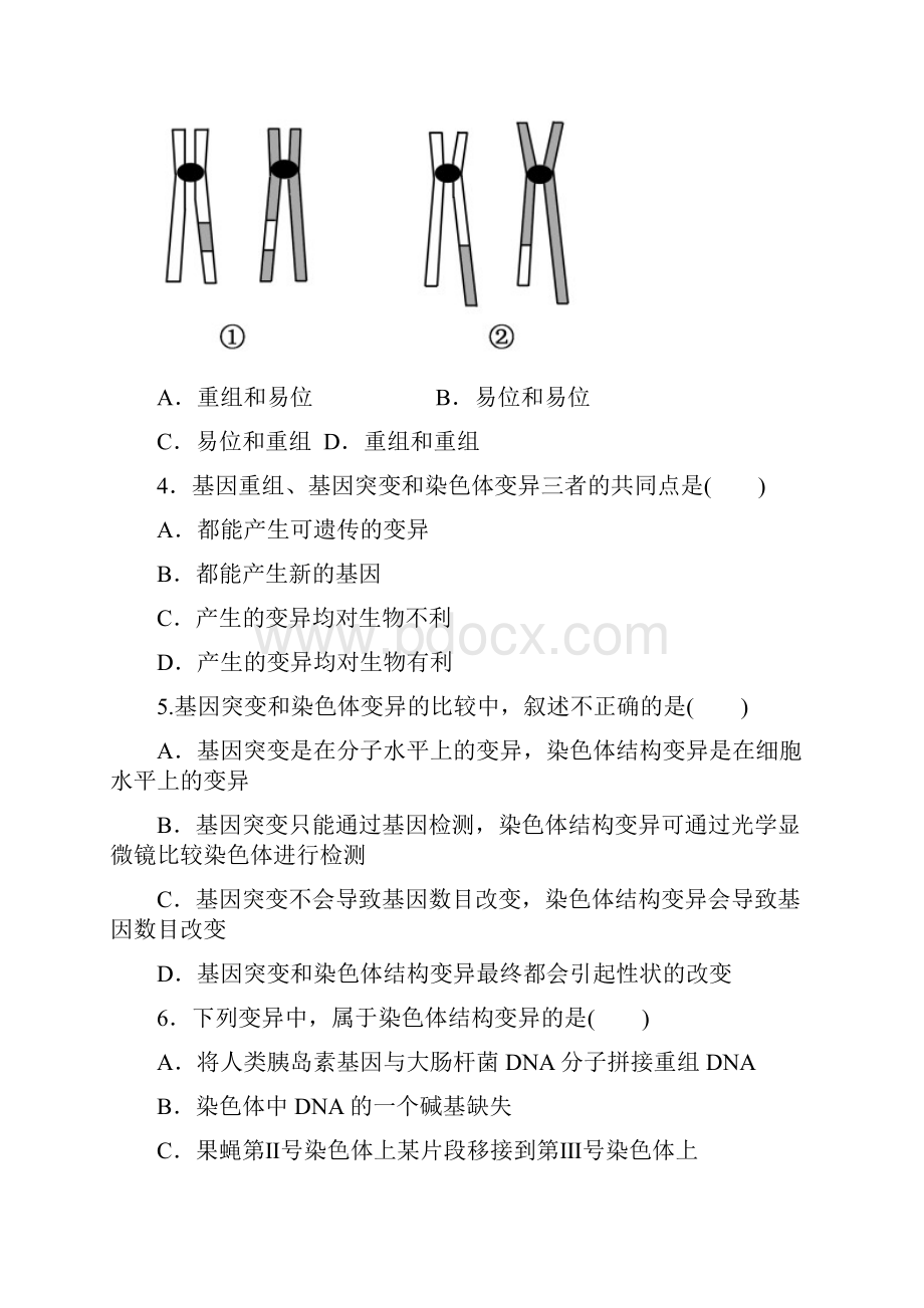 高一生物下册知识点课后检测题.docx_第2页