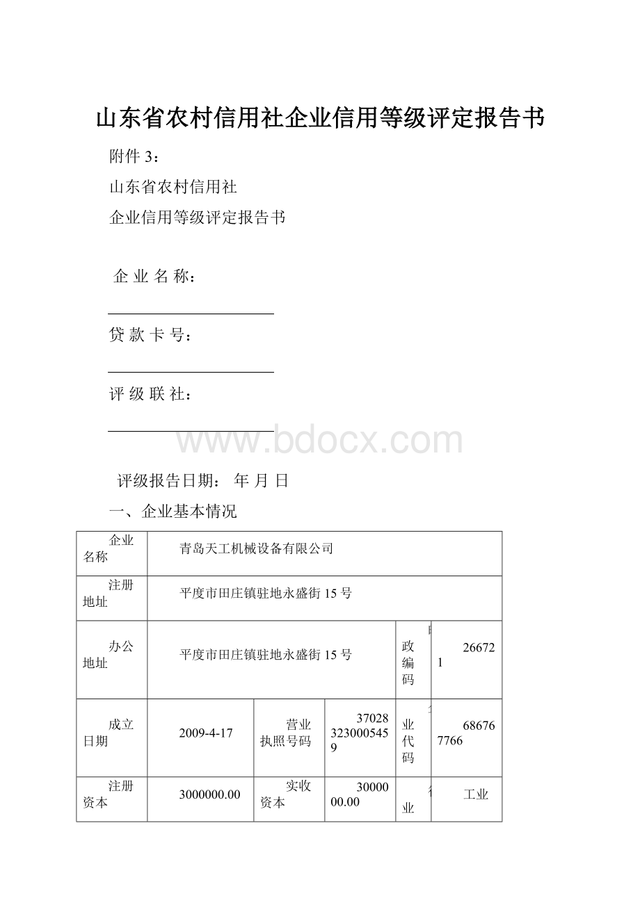 山东省农村信用社企业信用等级评定报告书.docx