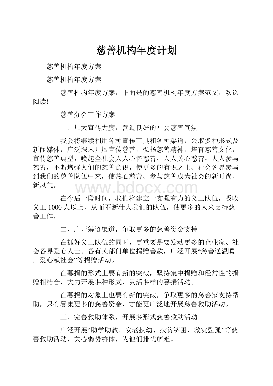 慈善机构年度计划.docx_第1页