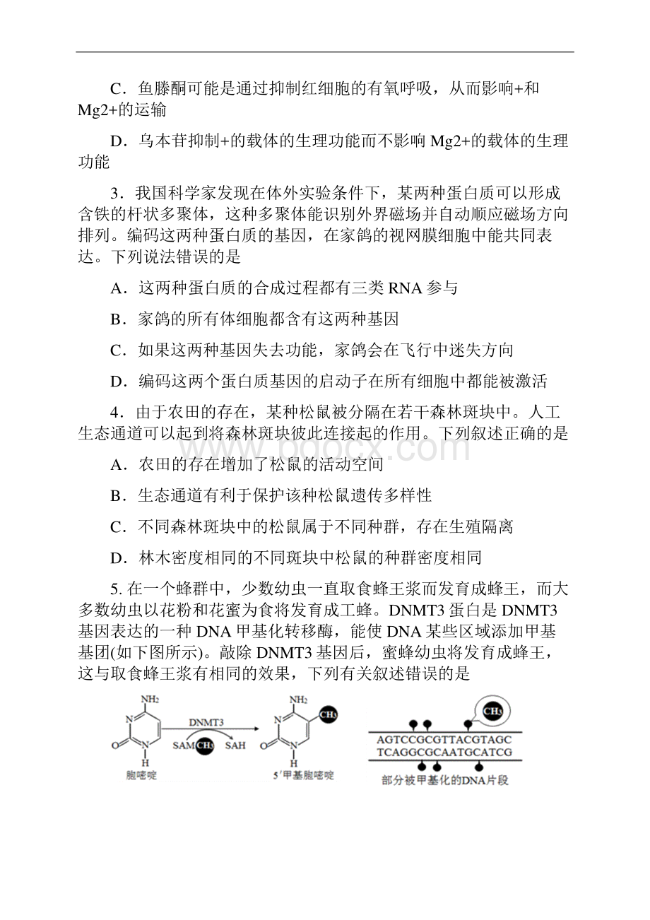 天津市红桥区届高三生物第一次模拟考试 生物.docx_第2页