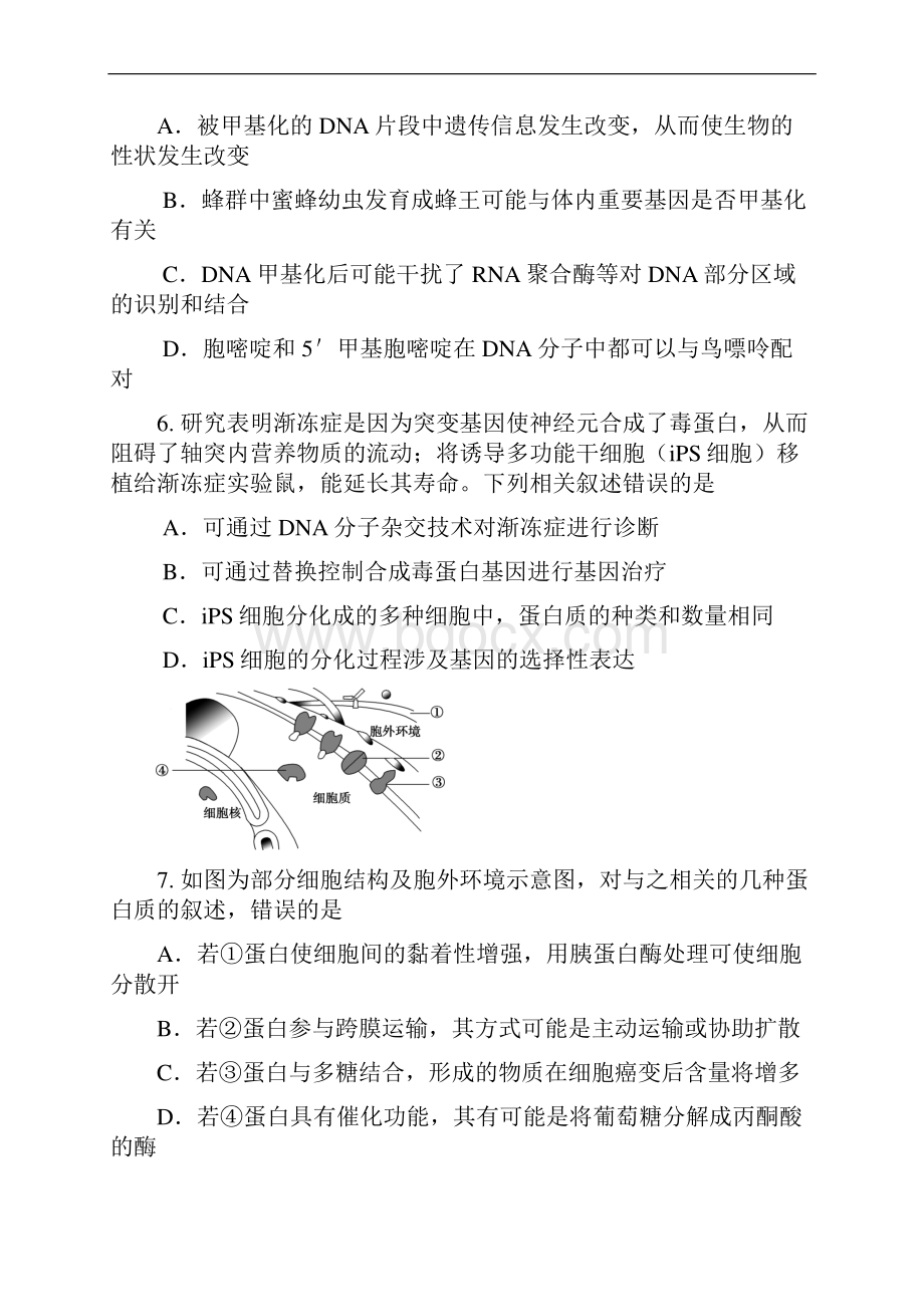 天津市红桥区届高三生物第一次模拟考试 生物.docx_第3页