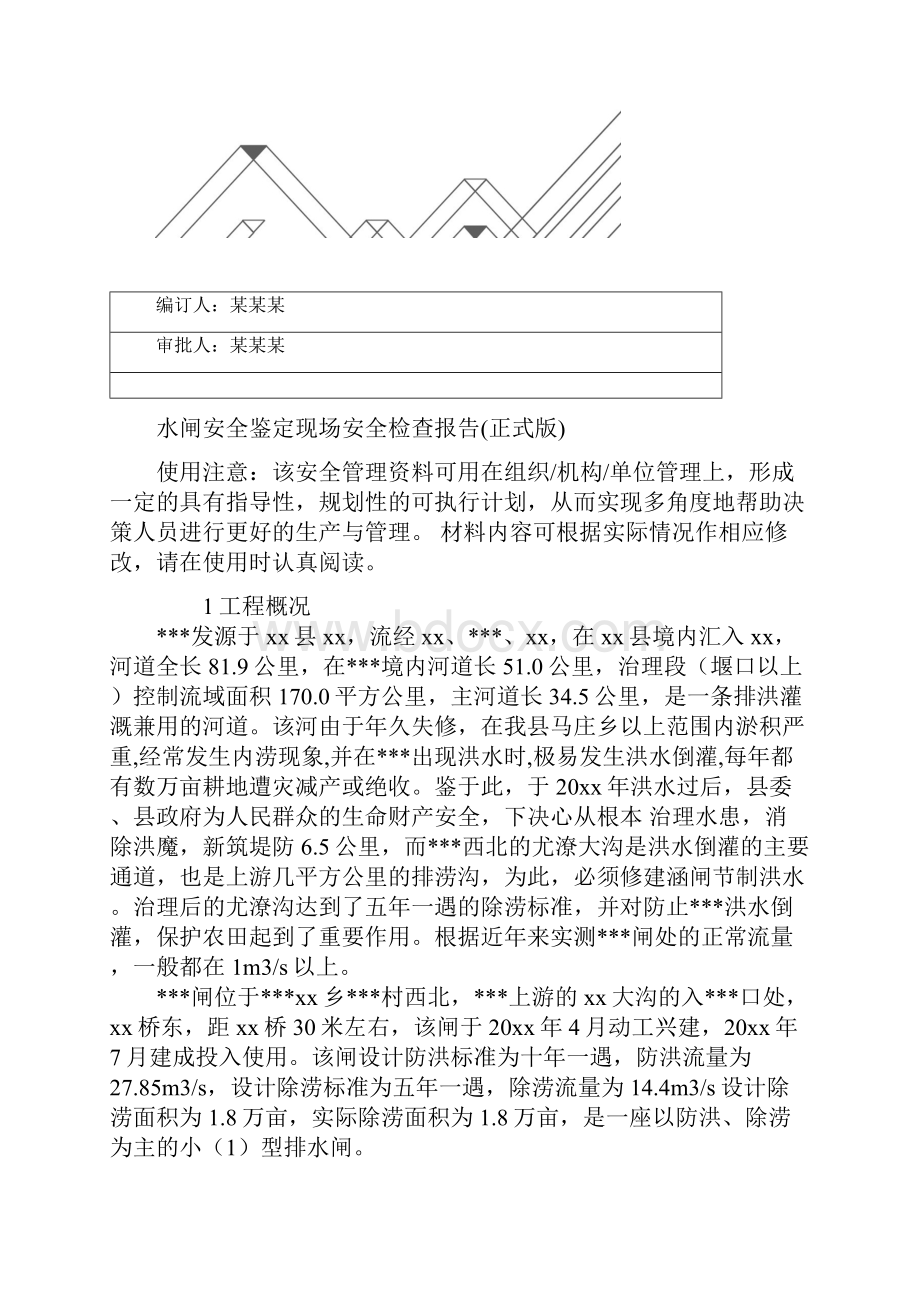 水闸安全鉴定现场安全检查报告正式版.docx_第2页