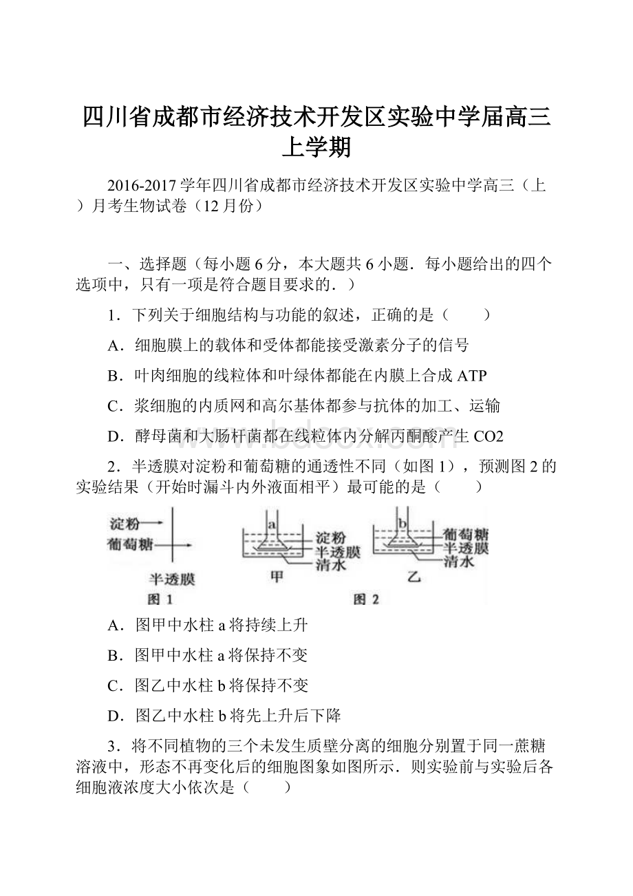 四川省成都市经济技术开发区实验中学届高三上学期.docx