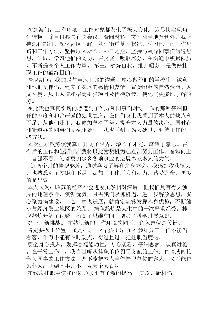 在挂职总结发言.docx_第2页