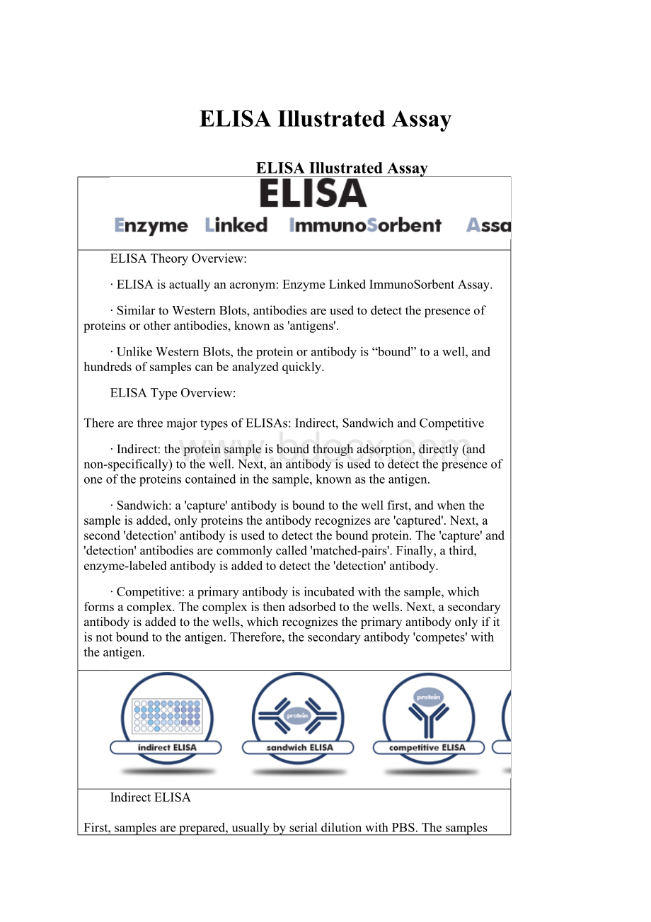 ELISA Illustrated Assay.docx