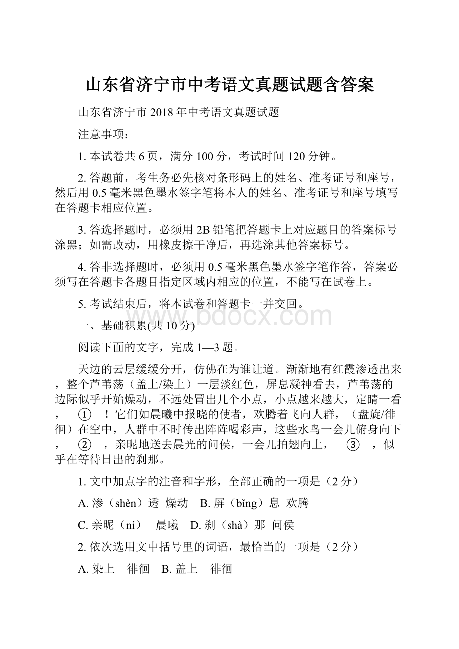 山东省济宁市中考语文真题试题含答案.docx