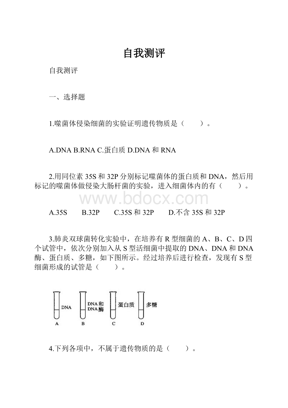 自我测评.docx_第1页