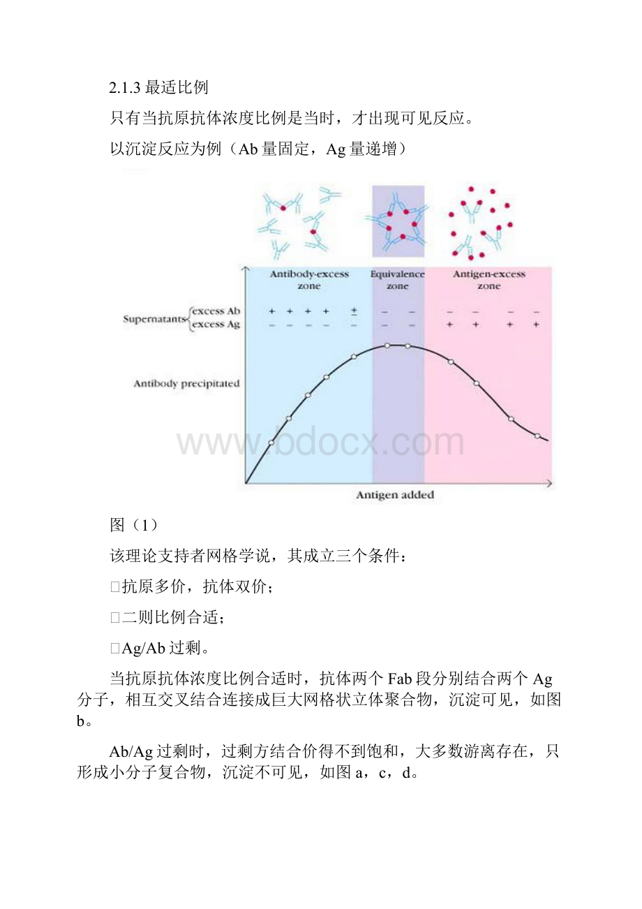 酶联免疫吸附测定法.docx_第2页