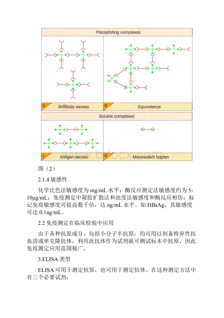 酶联免疫吸附测定法.docx_第3页