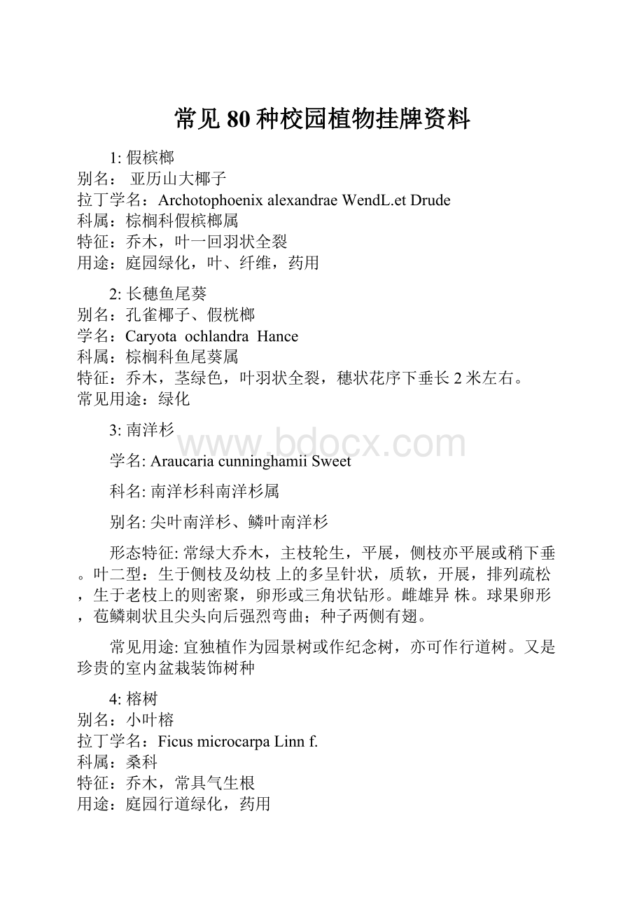 常见80种校园植物挂牌资料.docx_第1页