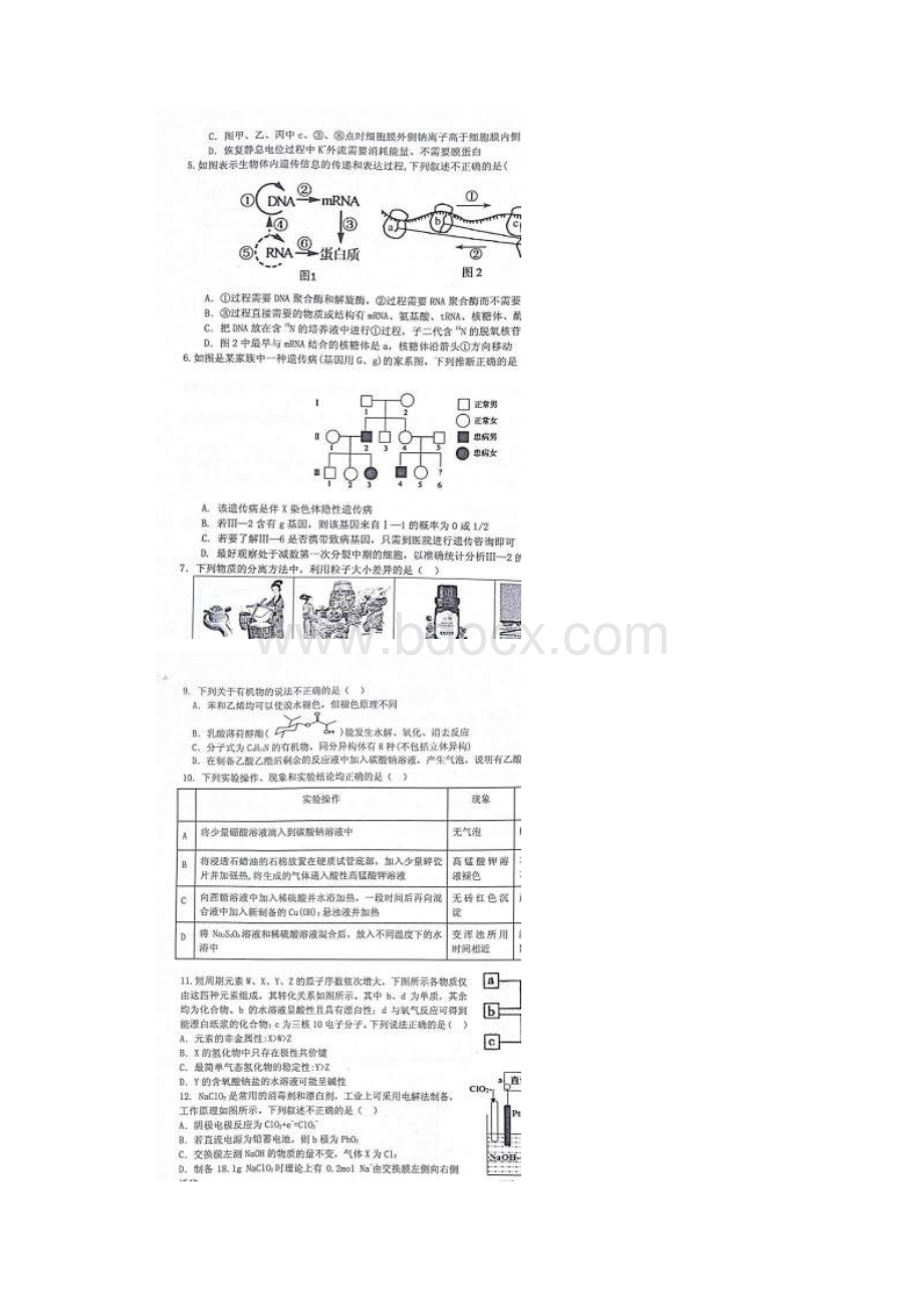 江西省抚州市临川区第一中学届高三全真模拟最后.docx_第2页