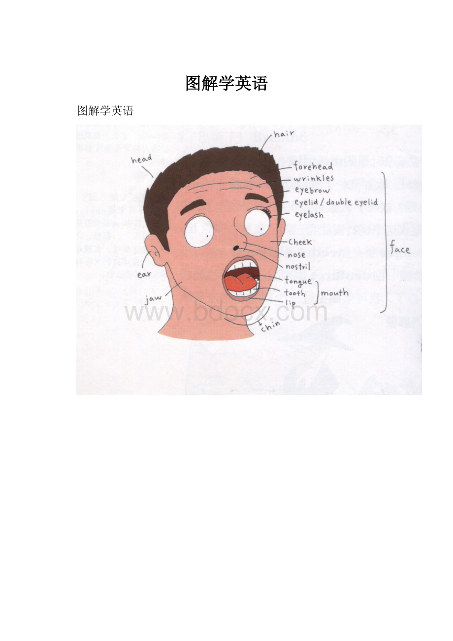 图解学英语.docx_第1页